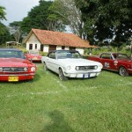 022 Mustangs