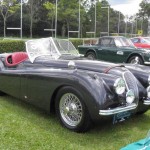 041 Jaguar 52